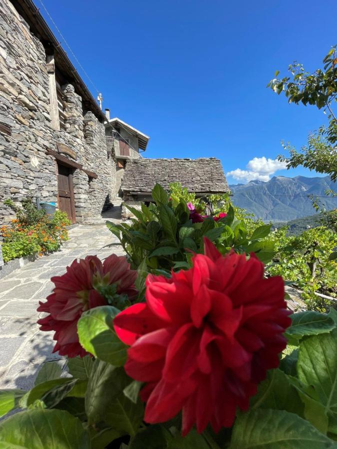 Casa Vacanze La Carbunera Villa Domodossola Exterior foto